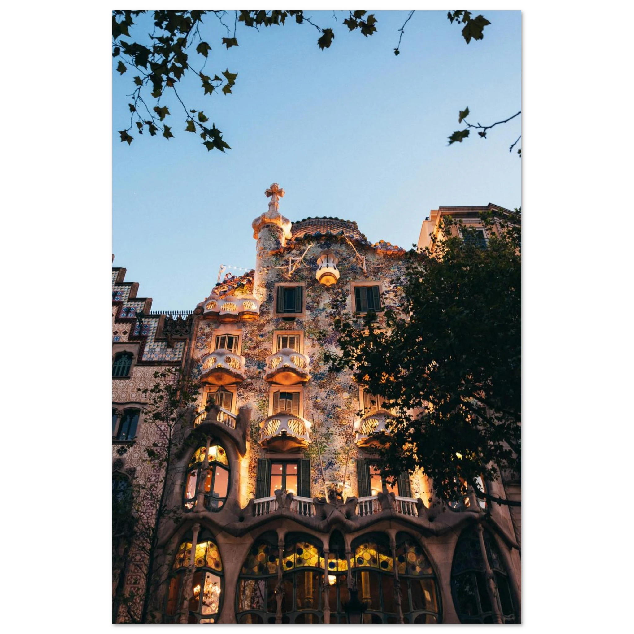 05aad74e-c171-402a-8007-af9ca18f6c41