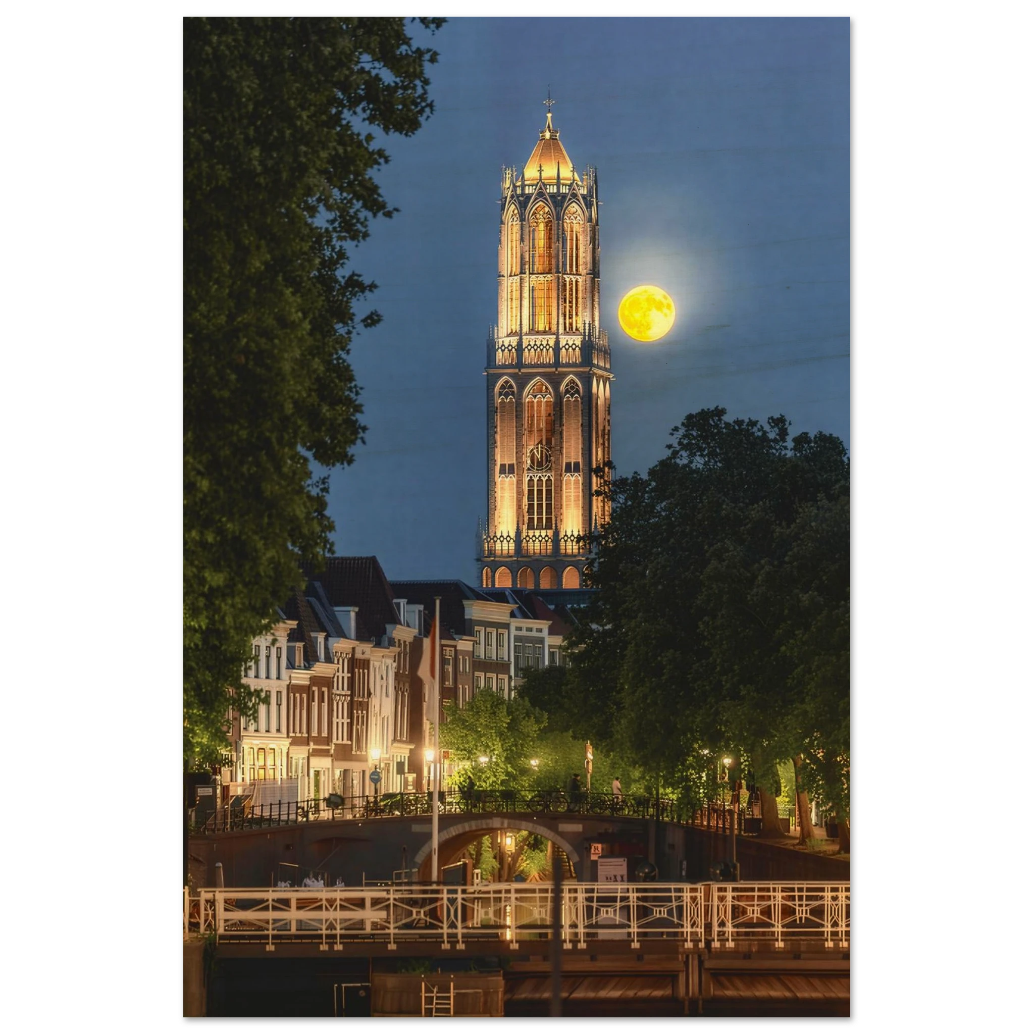 131bc95e-23ac-4e6f-aa54-d84e163894be