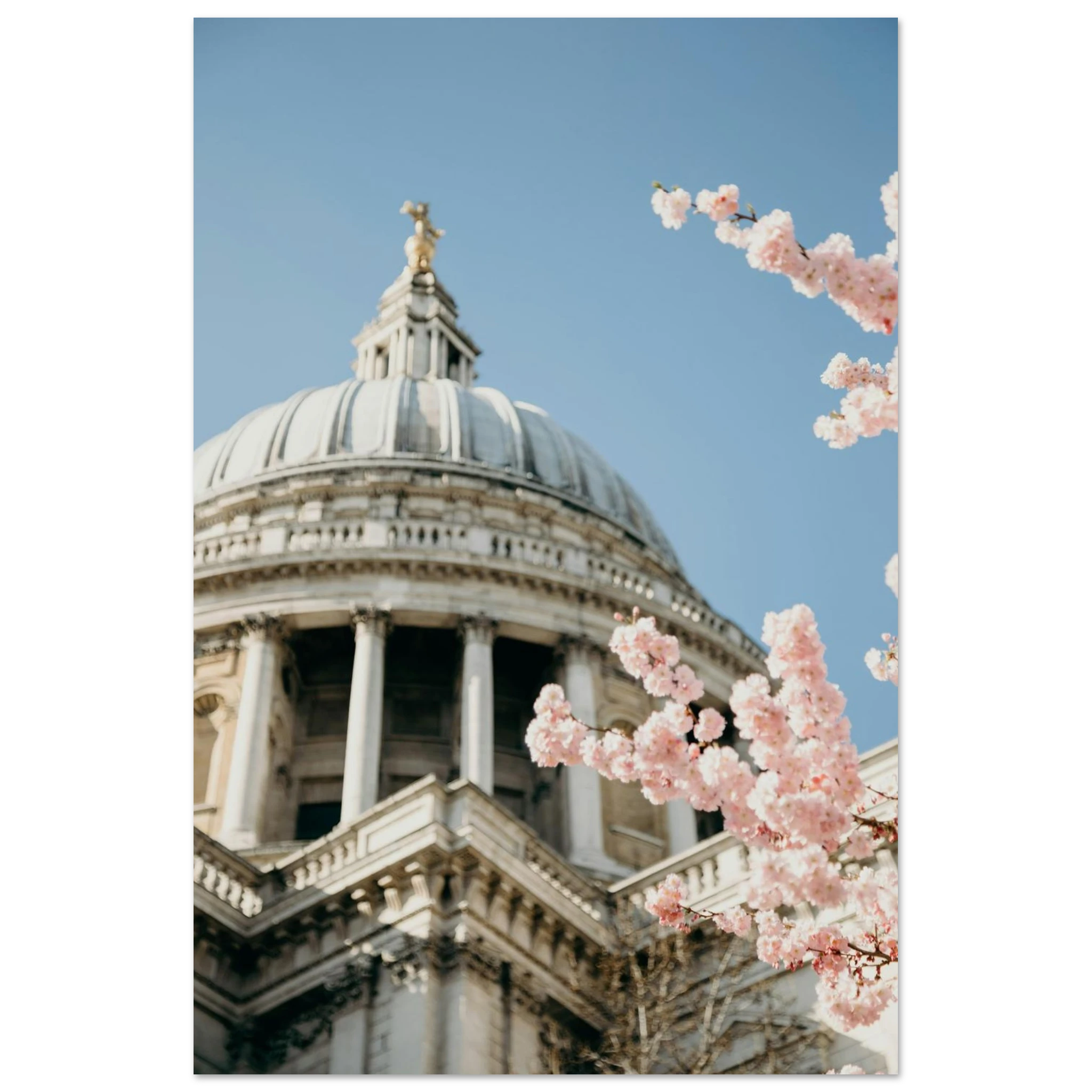 1b3ecf3f-6333-49b3-835f-3569875d54de