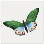 1d00d859-84d3-44db-9eed-6bb8da0d860d