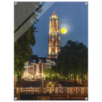 2195defd-7d80-4972-8118-28800a2fc9af