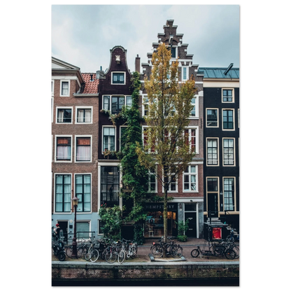 26fe6a29-7f49-4603-b59f-7ee2cca29254