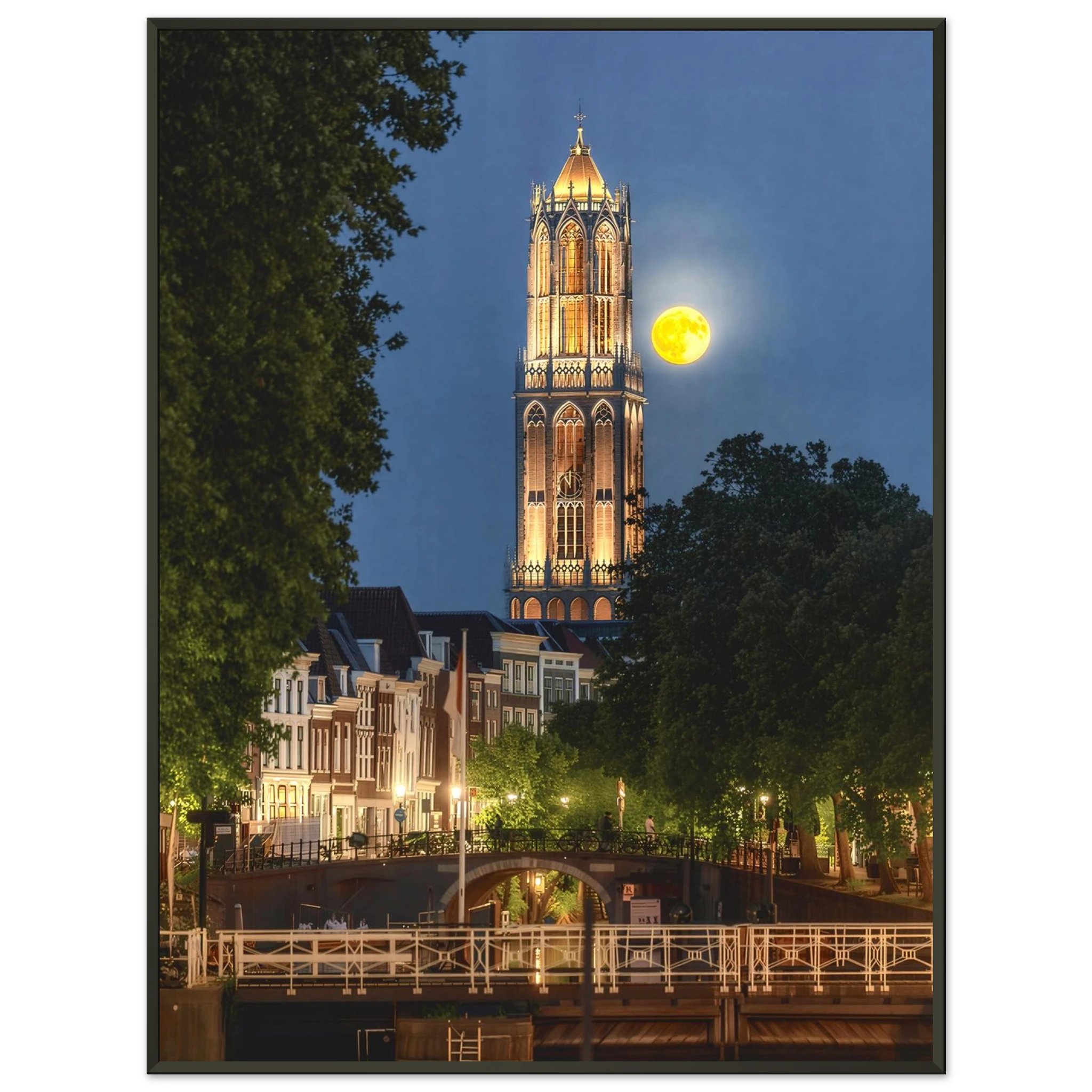 3178b0d7-ba9b-4223-9533-49bfe1a84ba7