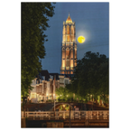 33cf0285-7a4c-40e4-8116-621db0d35276