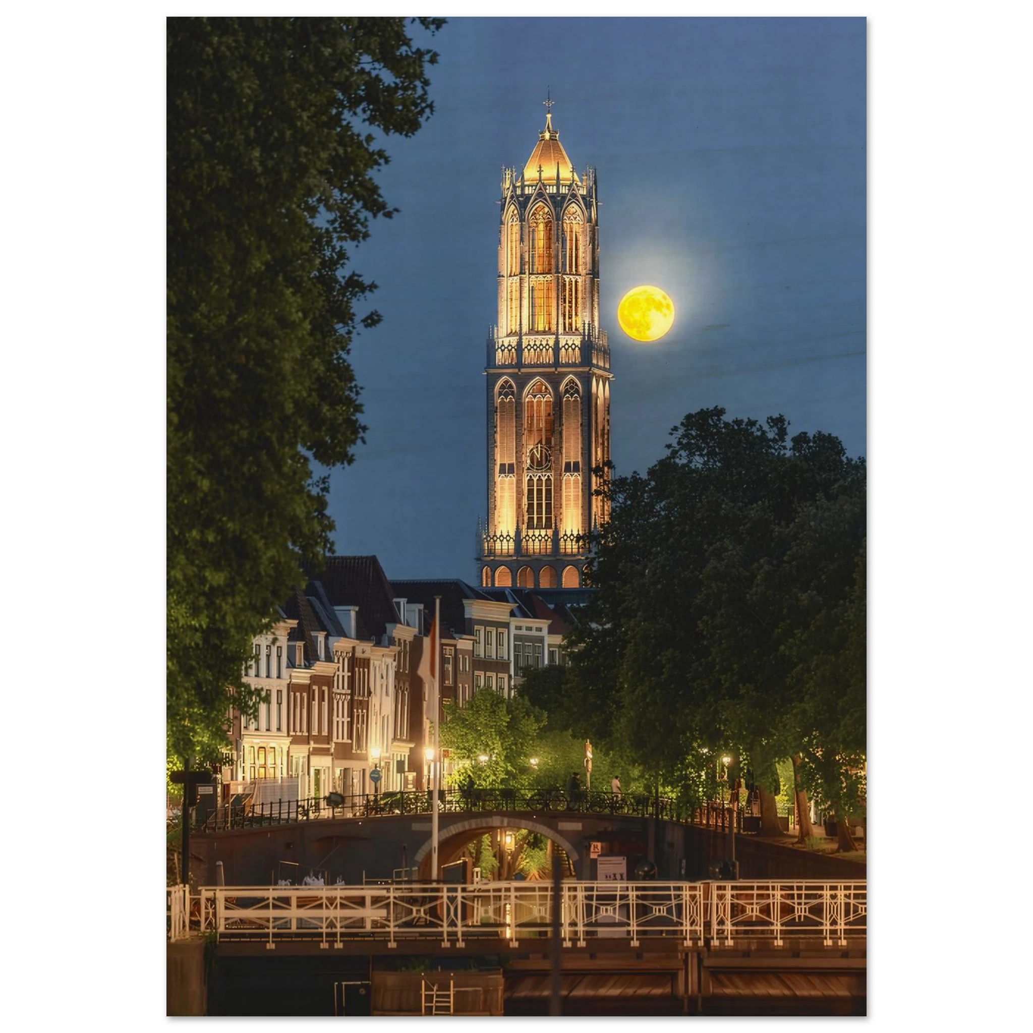 33cf0285-7a4c-40e4-8116-621db0d35276