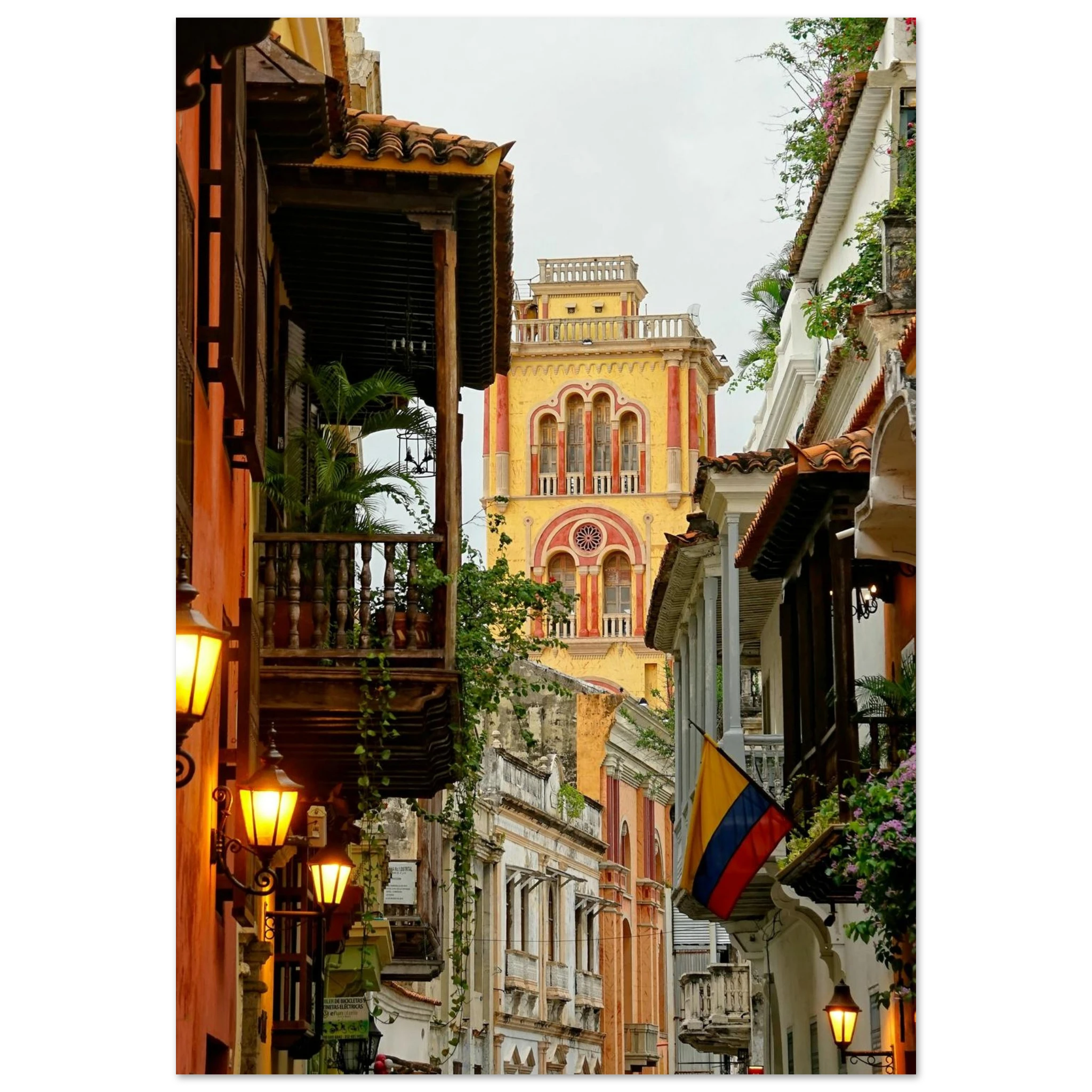 48f1295f-b78c-4bac-a180-7a69f9b618a3