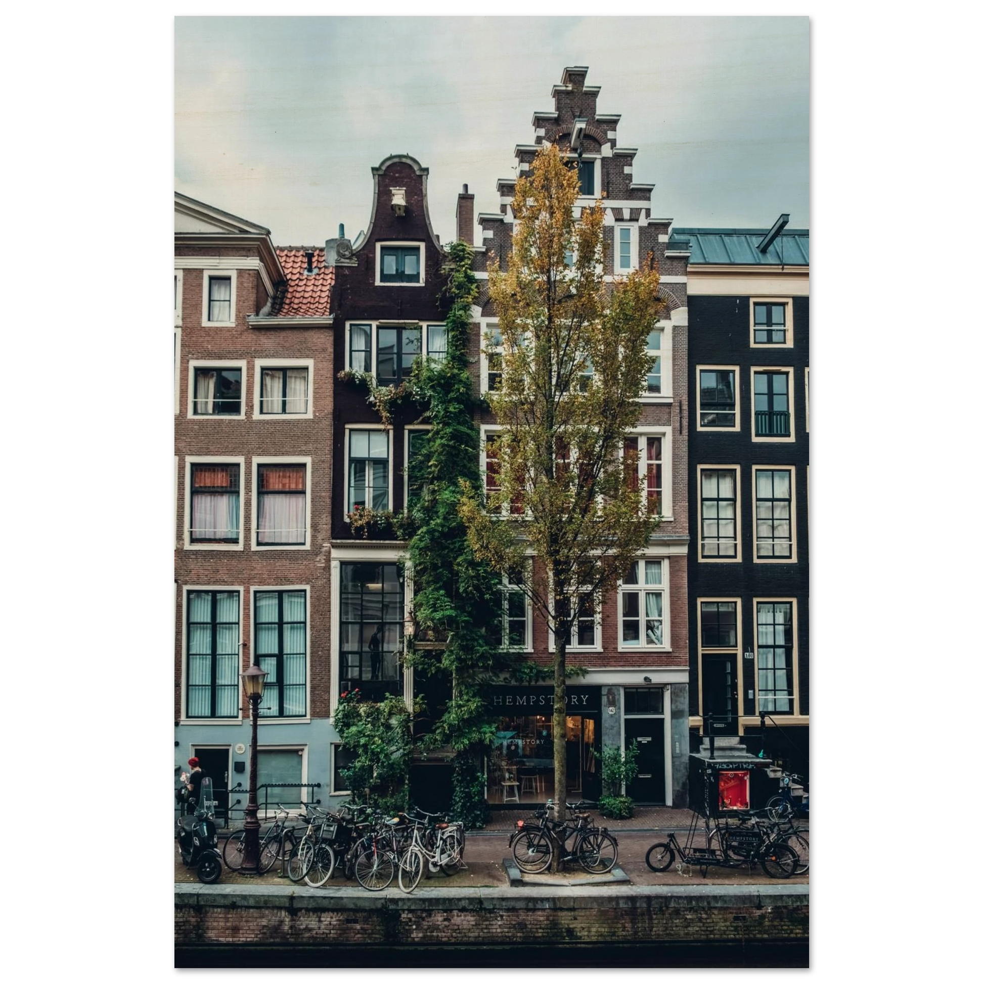 51ec13ae-2aa8-4437-898a-b5ca7689fea9