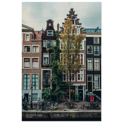 51ec13ae-2aa8-4437-898a-b5ca7689fea9