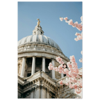 534273a4-d2c0-402b-b83c-0c3611303deb