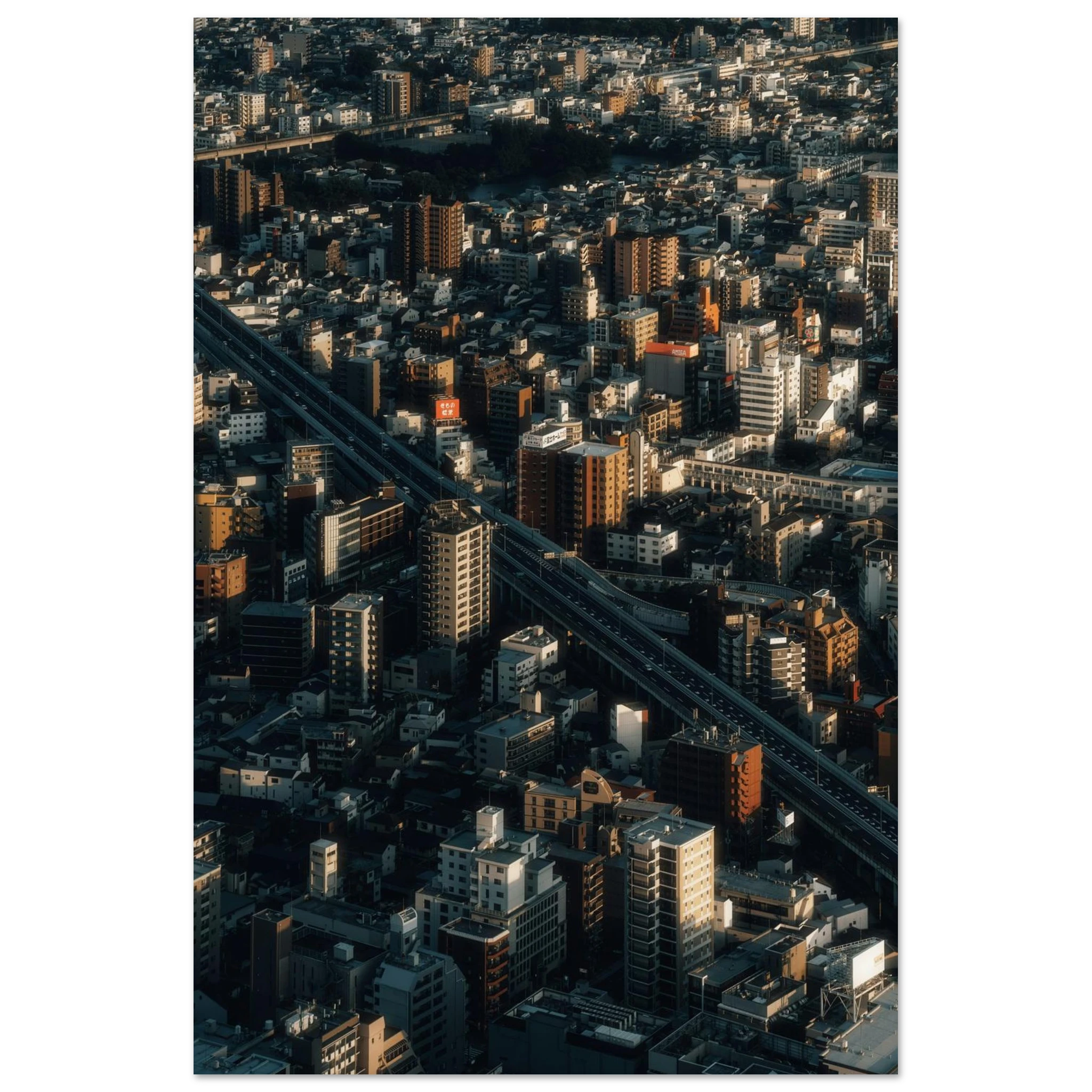 54ca9e07-c295-4ddf-810d-6097e259191b