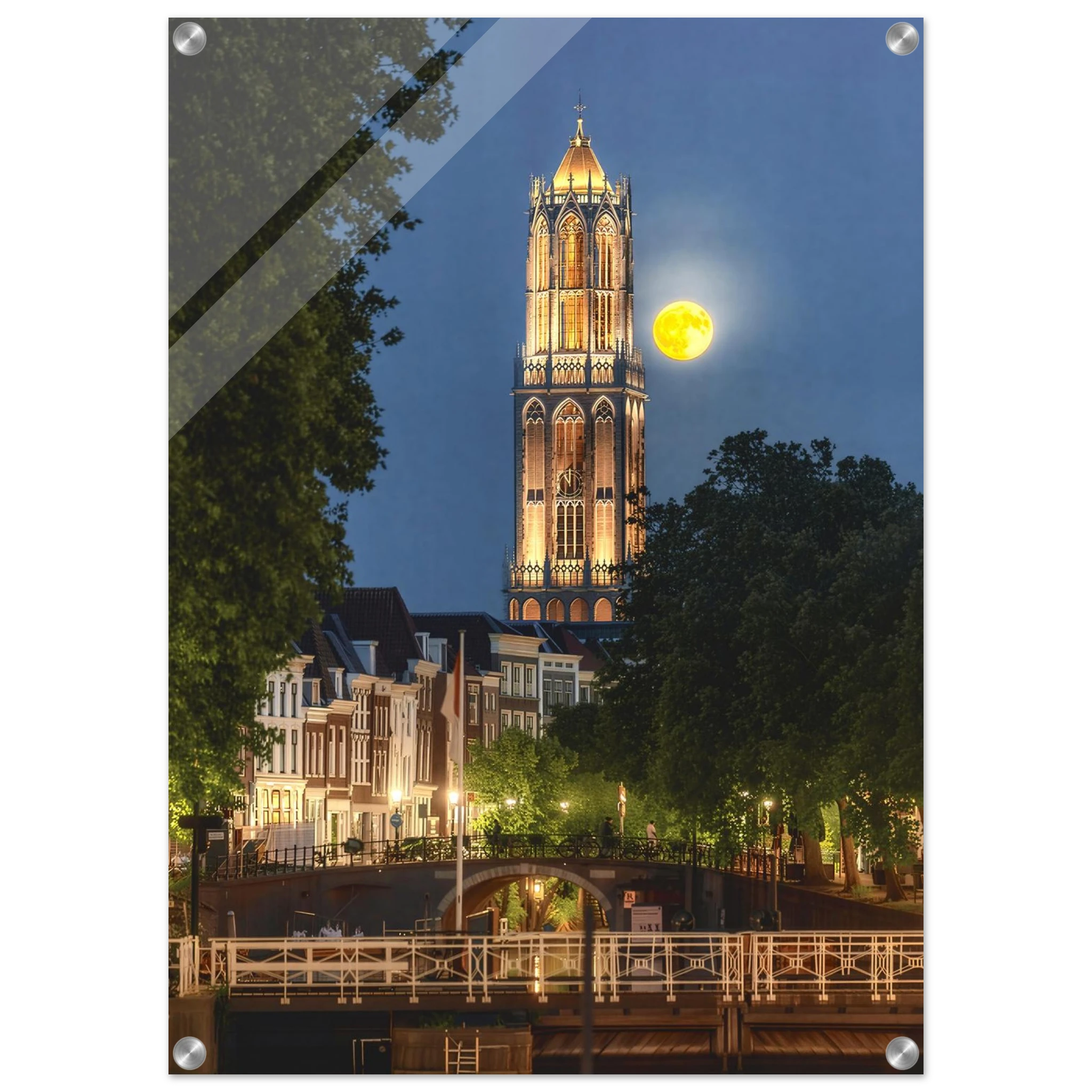 597fa046-267b-4b69-8dcc-edb9cb4645f2