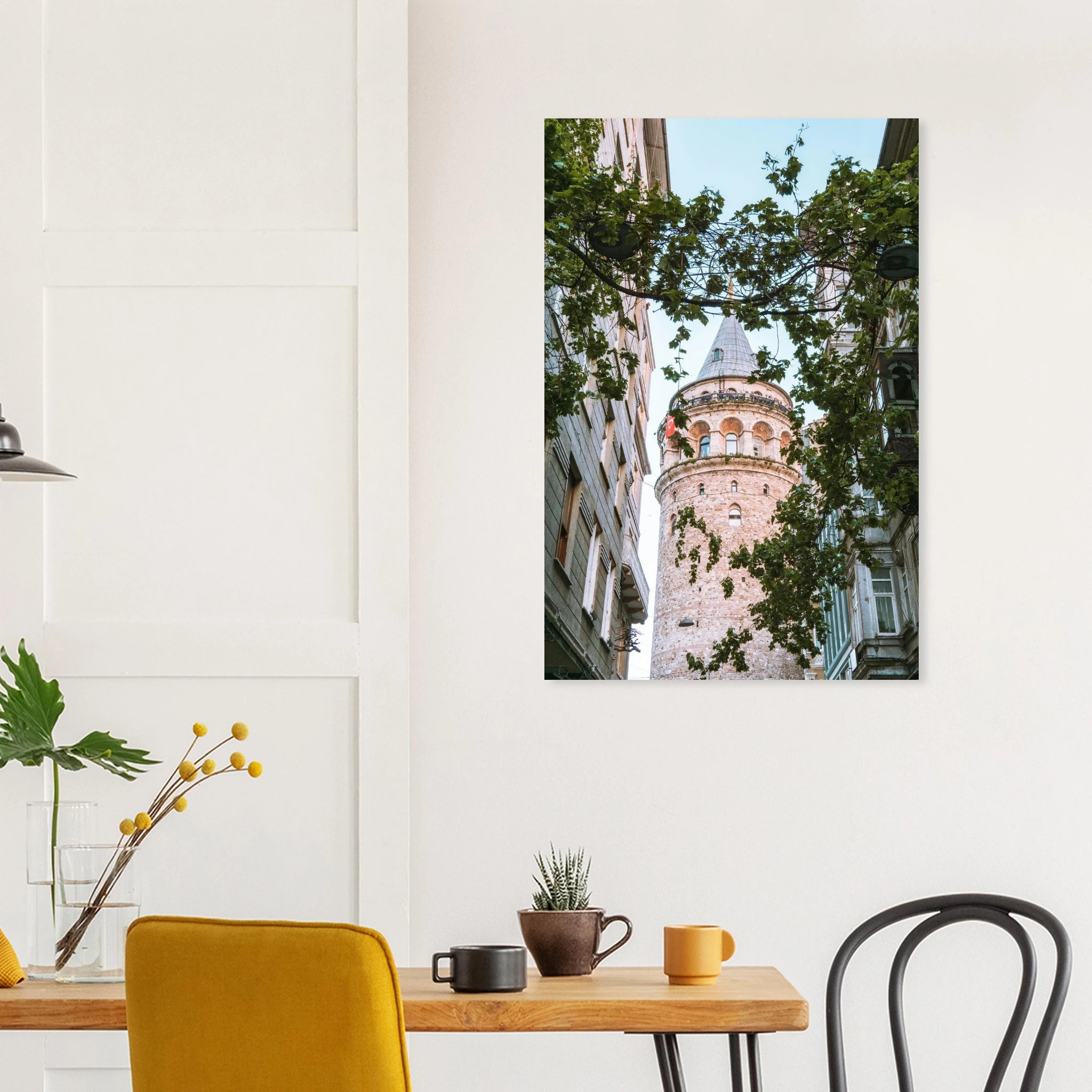 5e50a428-98fa-40cd-8957-f045769c91c2