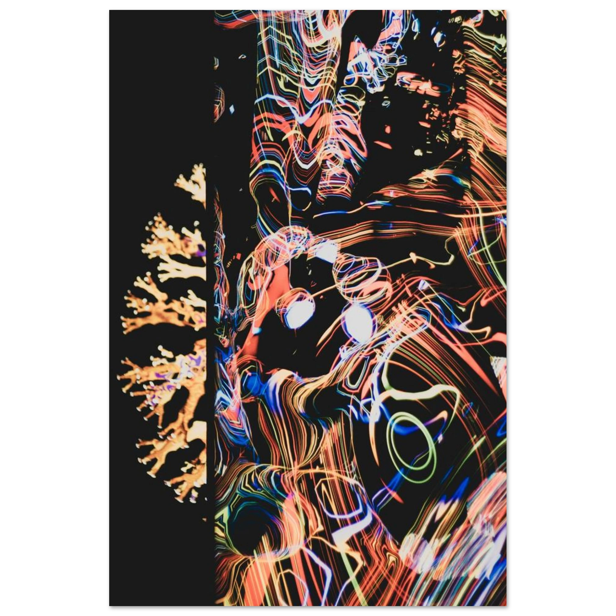 6038d1da-2974-4101-9954-d6dccdb13756