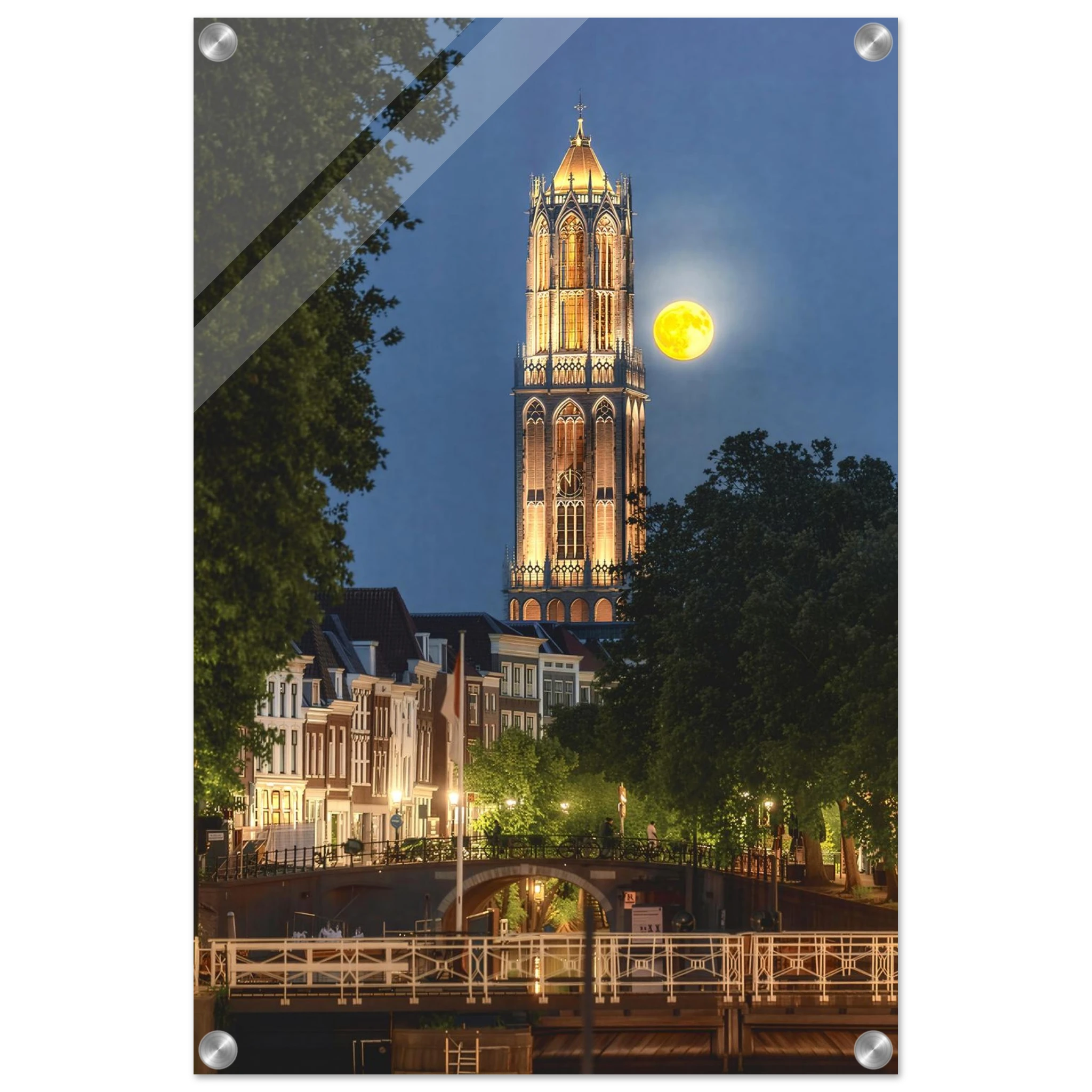 62c3244e-073b-4b0c-af12-31fefd2b1e9e