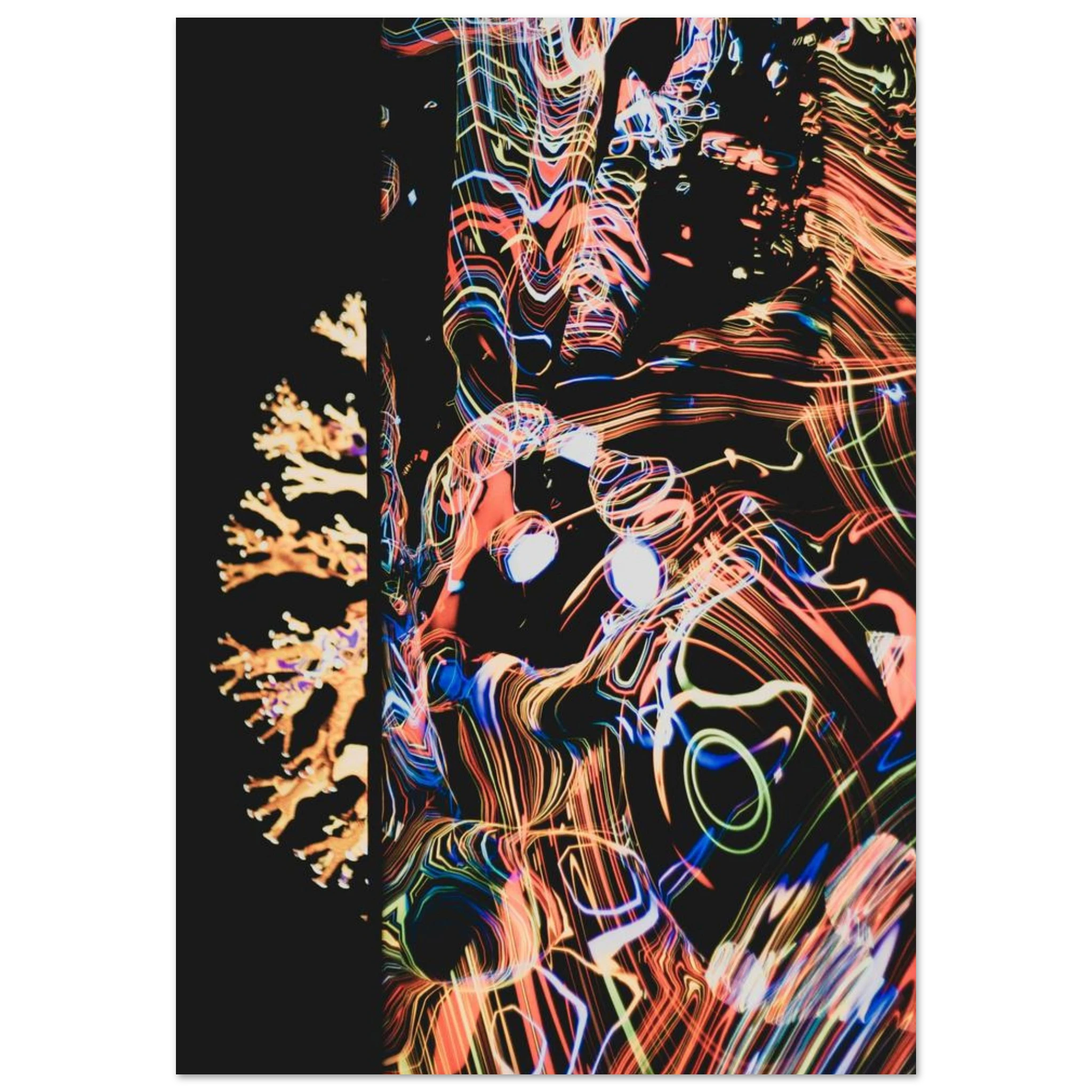 7c1b913d-646f-4722-a92a-b195dc70e226