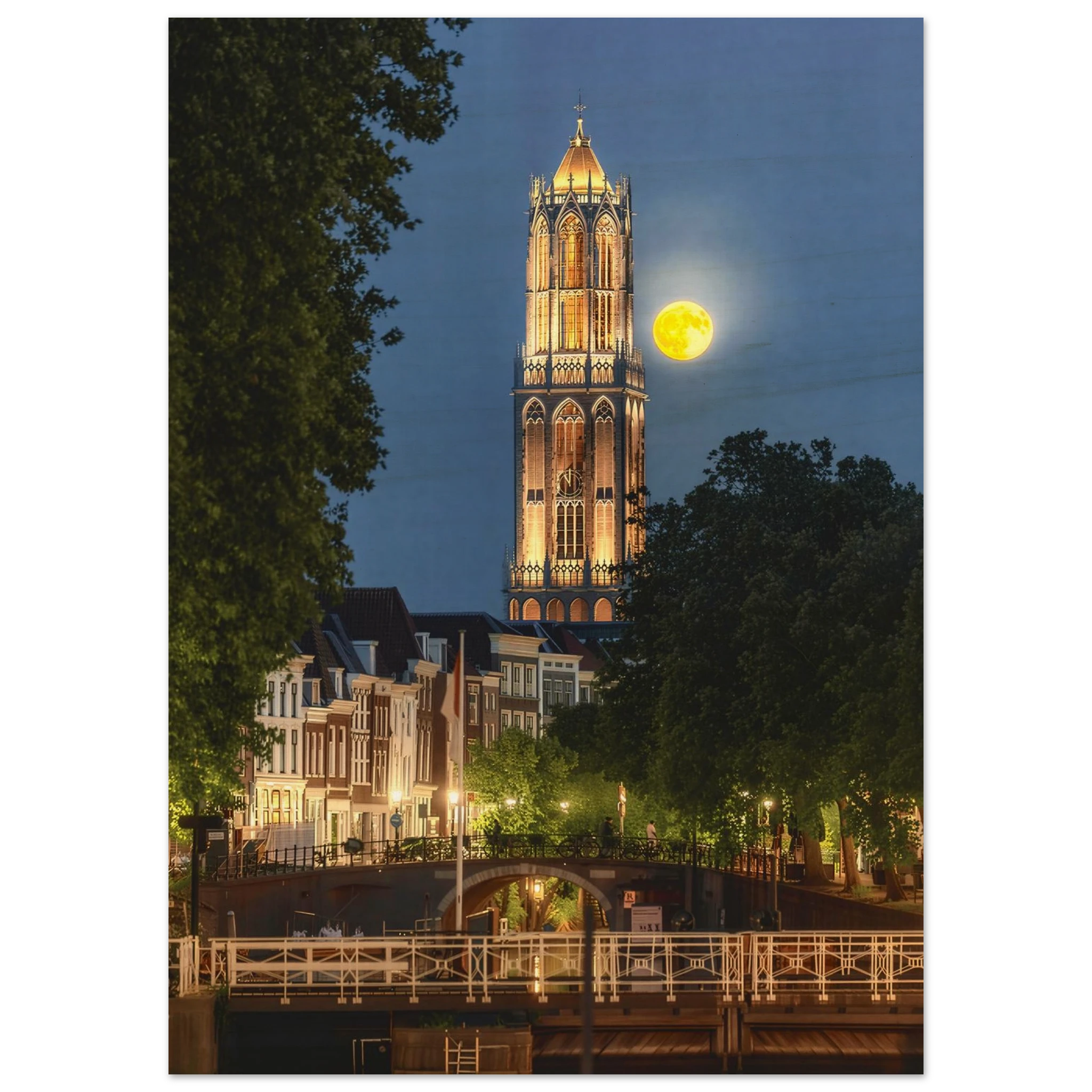 89a0f9e7-bd37-4276-8cdc-023eeac55aa1