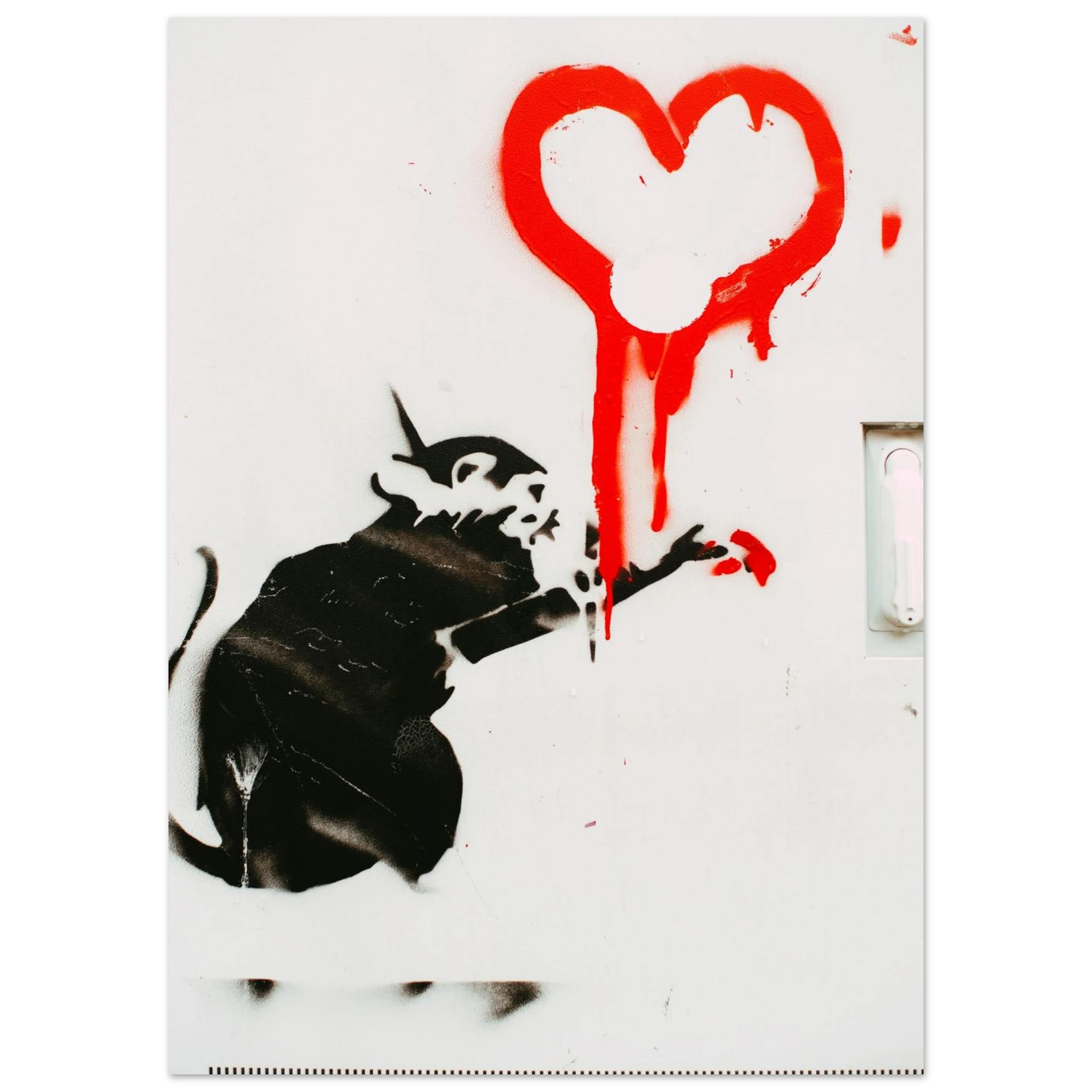 9b1ed5da-368d-450a-b002-0c2ab3b9055b