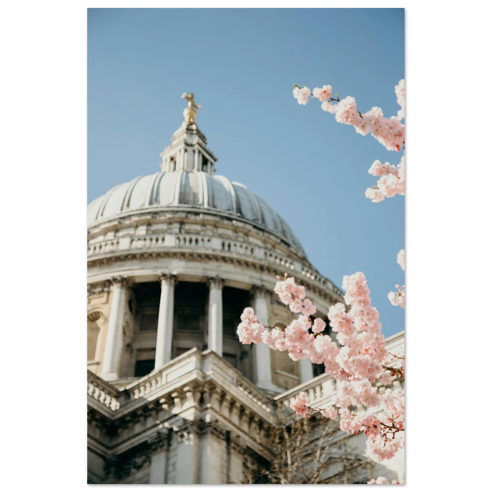 a35fef93-2403-47a8-b155-5eab78ed06d1