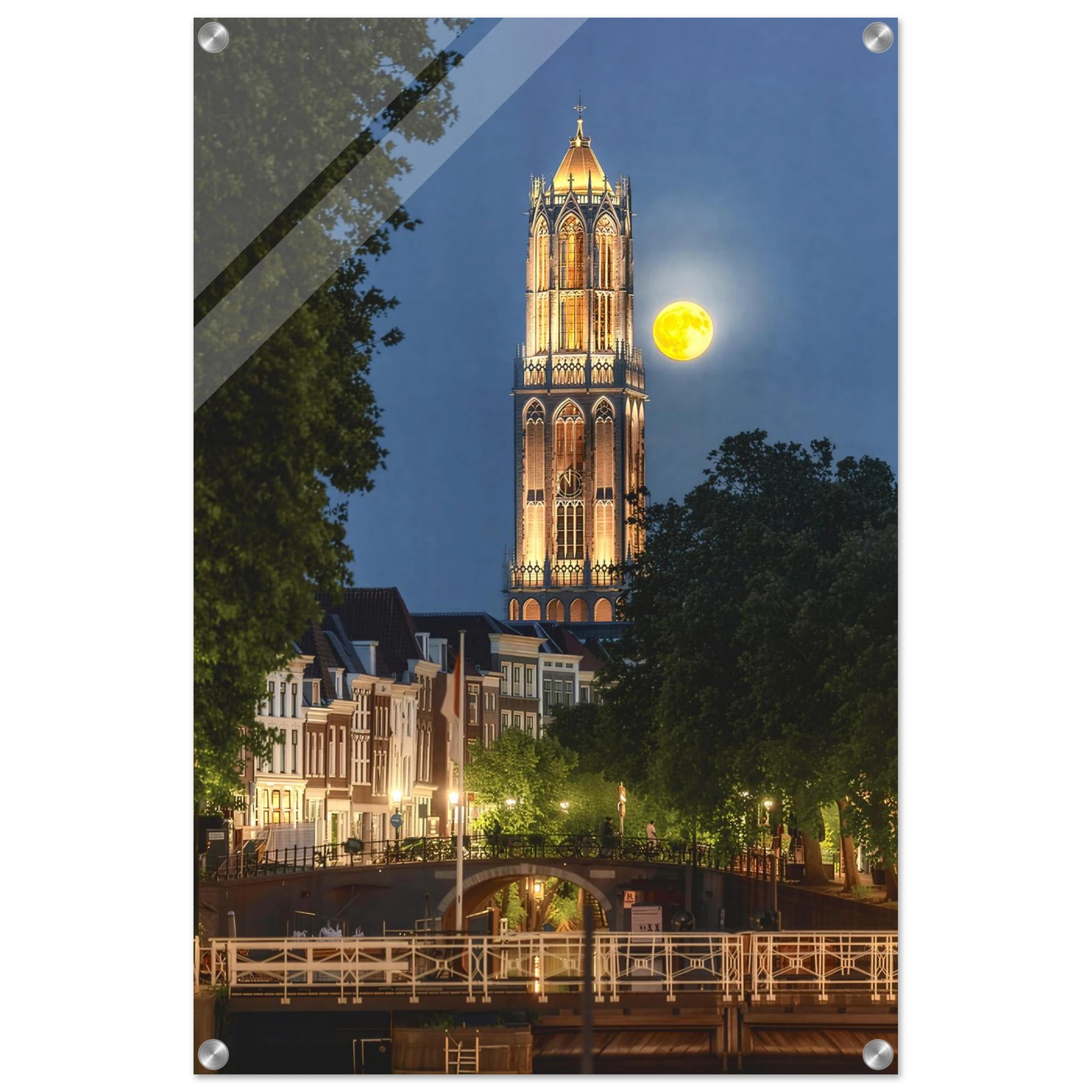 af0380f9-4358-4248-948f-1399fca79339