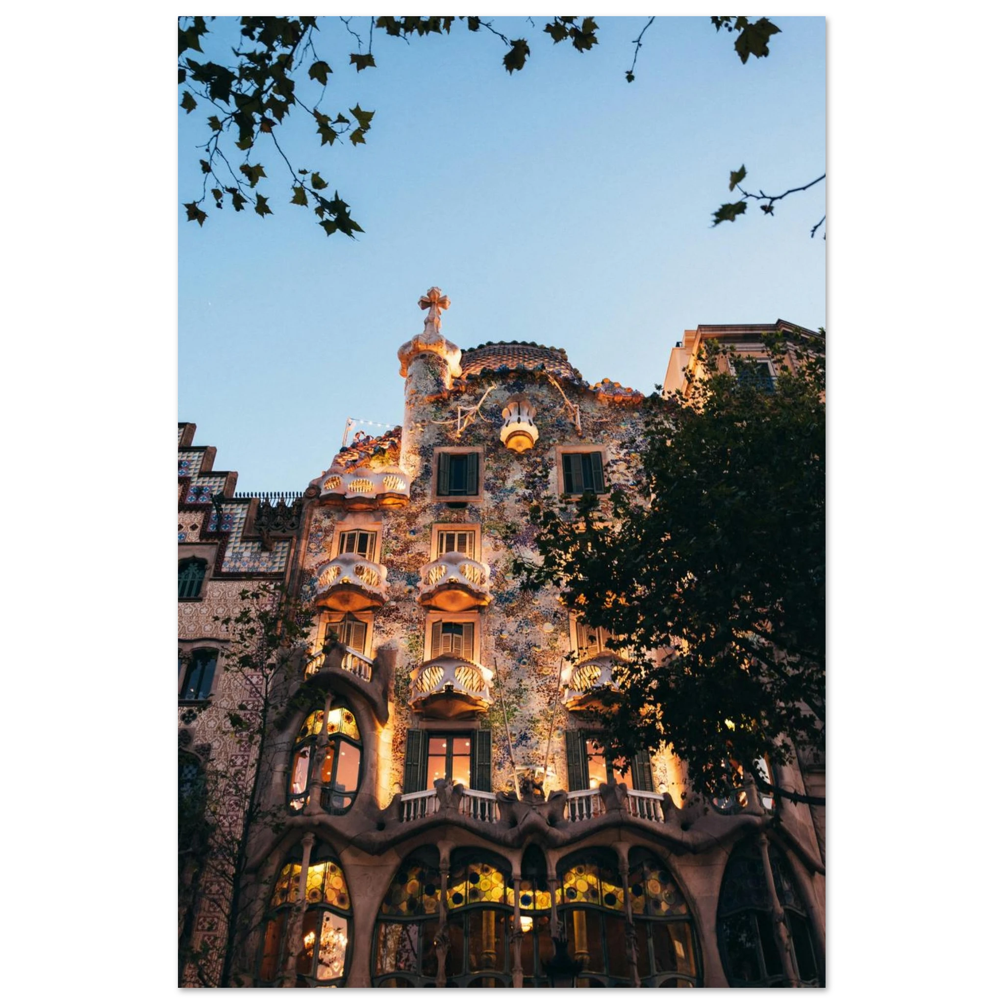 bd040e8d-50d6-45b7-825e-21729d9a868f