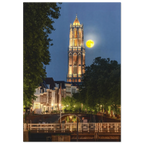 c4eb2b8c-16b6-480c-8335-133f590391bb