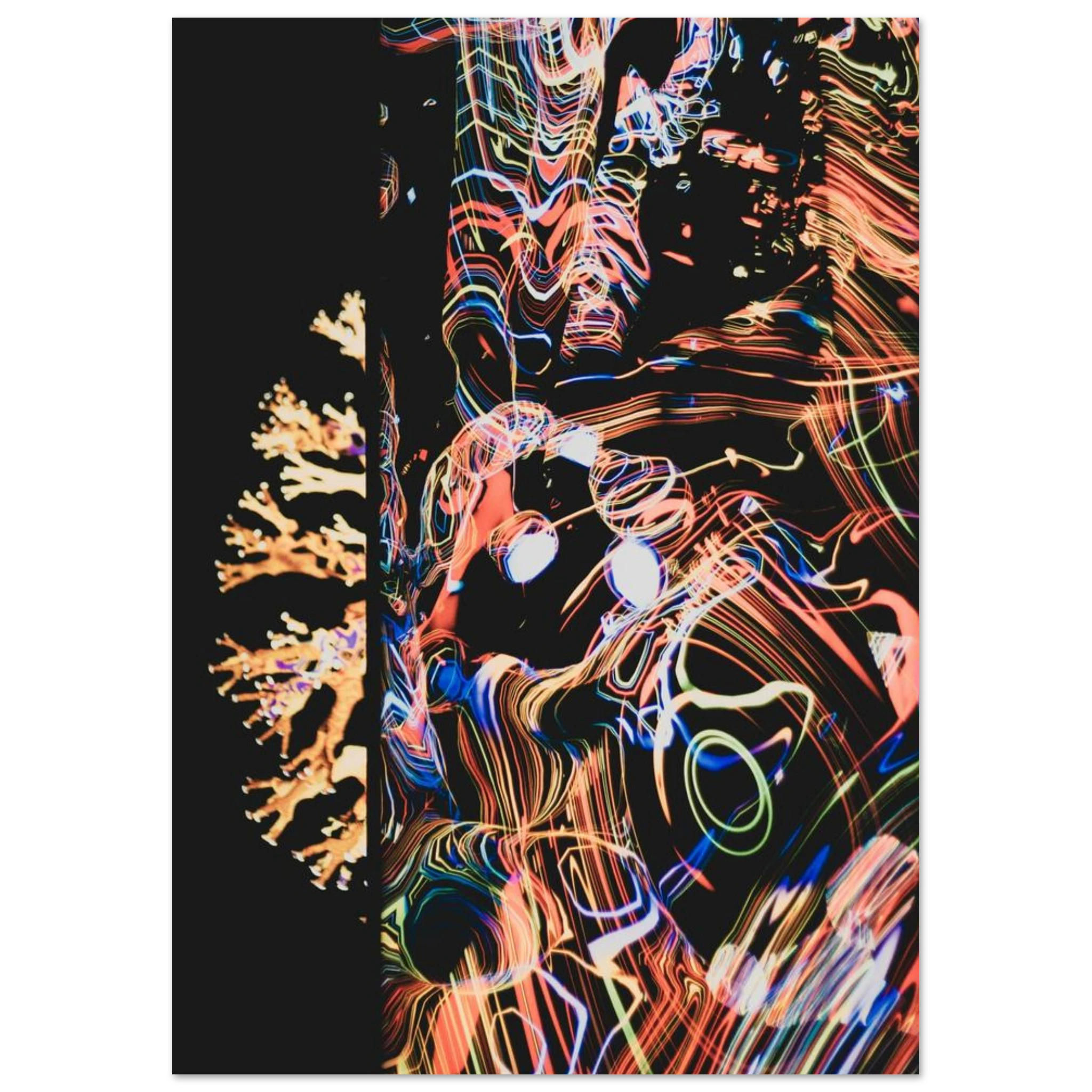 d7fdffc1-f585-4b2f-b20d-e0c6bded61fa