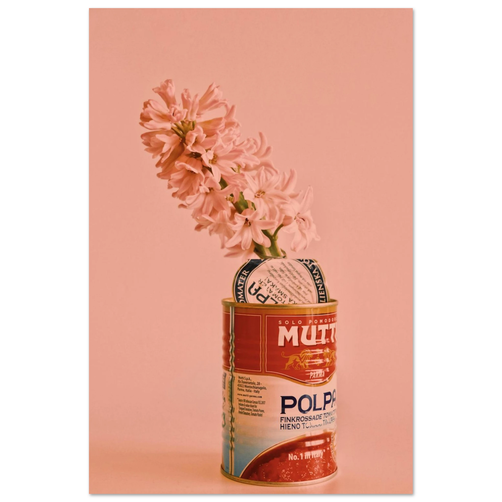 dc1541c0-0145-4dad-9441-054ee66a7965