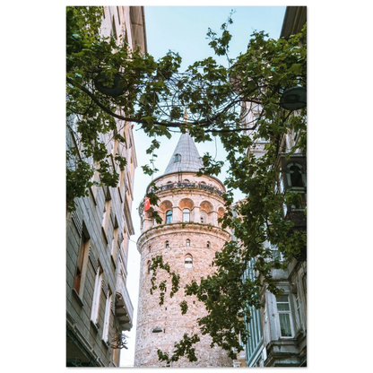dc25bfc6-6ce2-40f0-8d04-96f51f295196