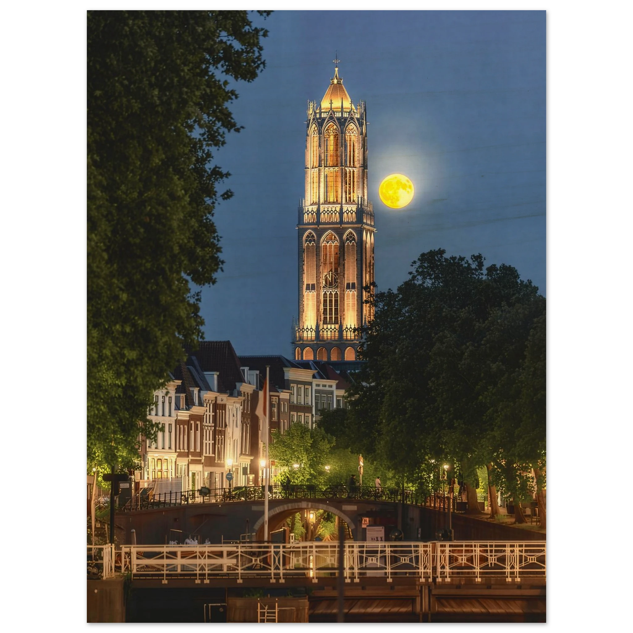 e0067745-e3d2-4179-aac2-d4487d0b71d1