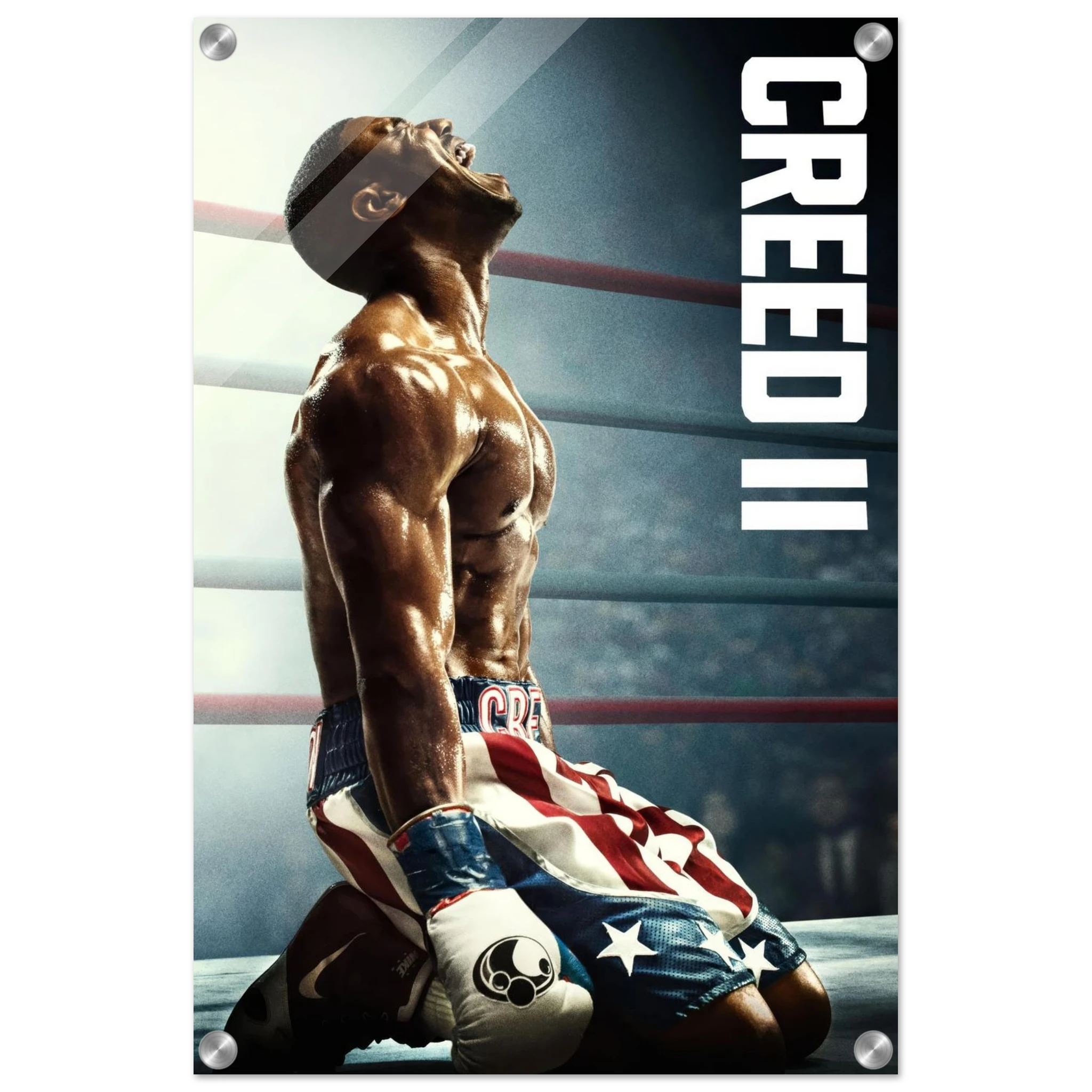 e1d1f4aa-51ff-4d44-a2ef-dc229c997223