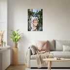 e468b07d-06b6-4046-b4b4-6ad15905cd47