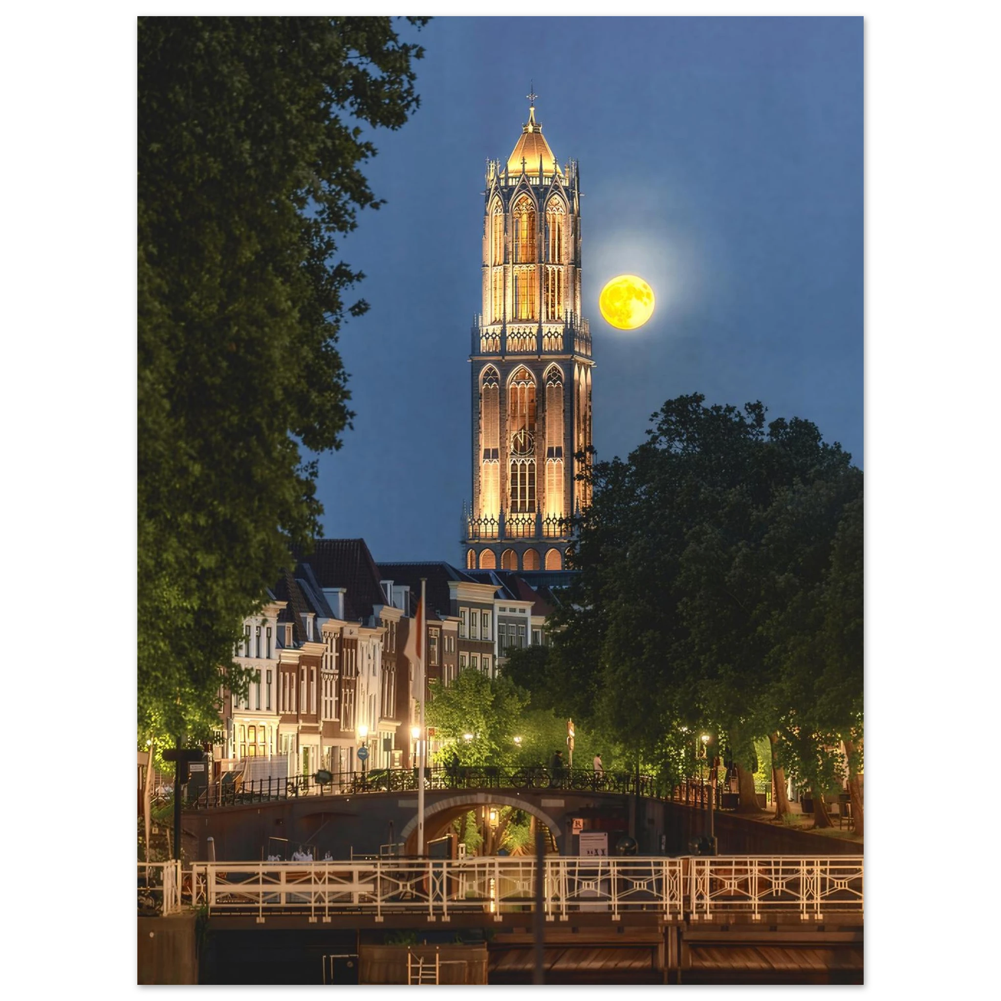 fd12af9c-8faf-4383-a6b7-604cb81db113